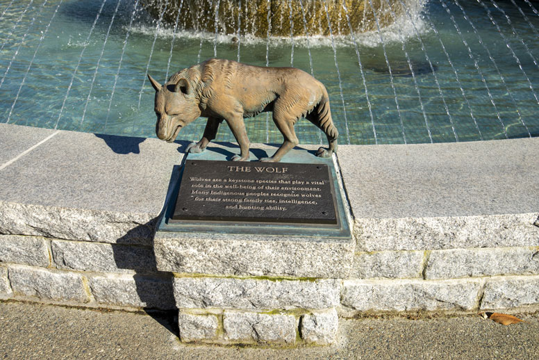 The Wolf of the Centennial Fountain