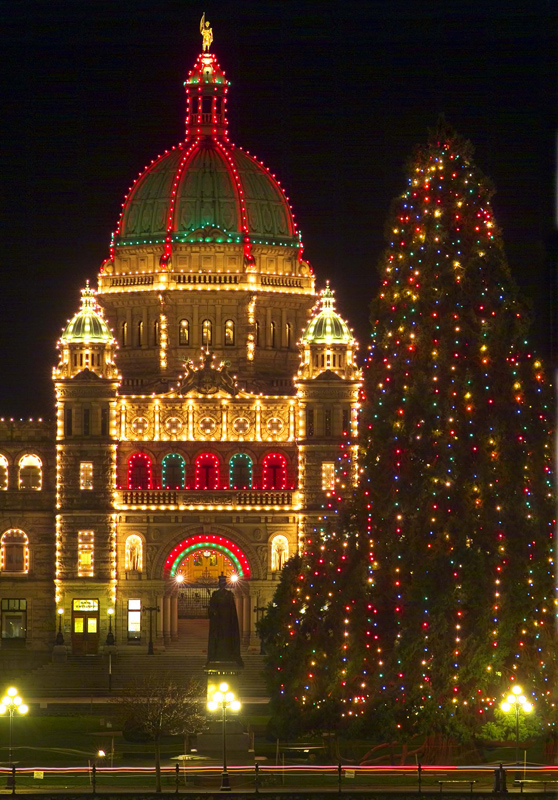 The sequoia tree lit up for the annual Christmas Lights Across Canada event.