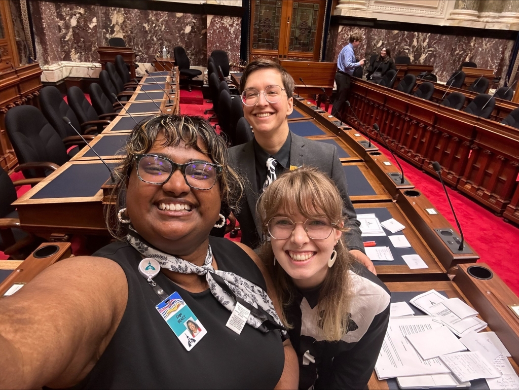 Legislative Interns in the Chamber