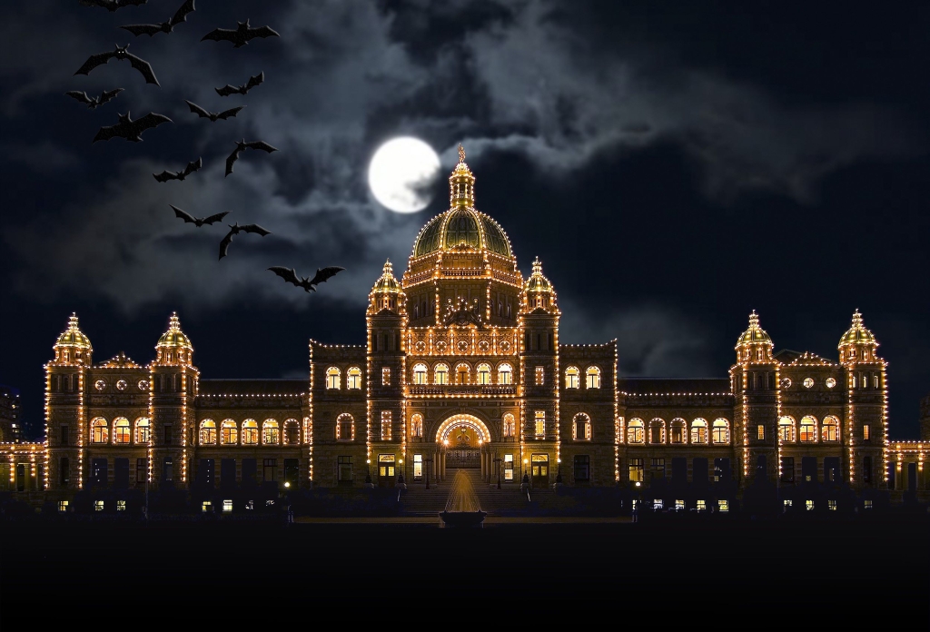 Picture of the Parliament Buildings at night with bats flying past.