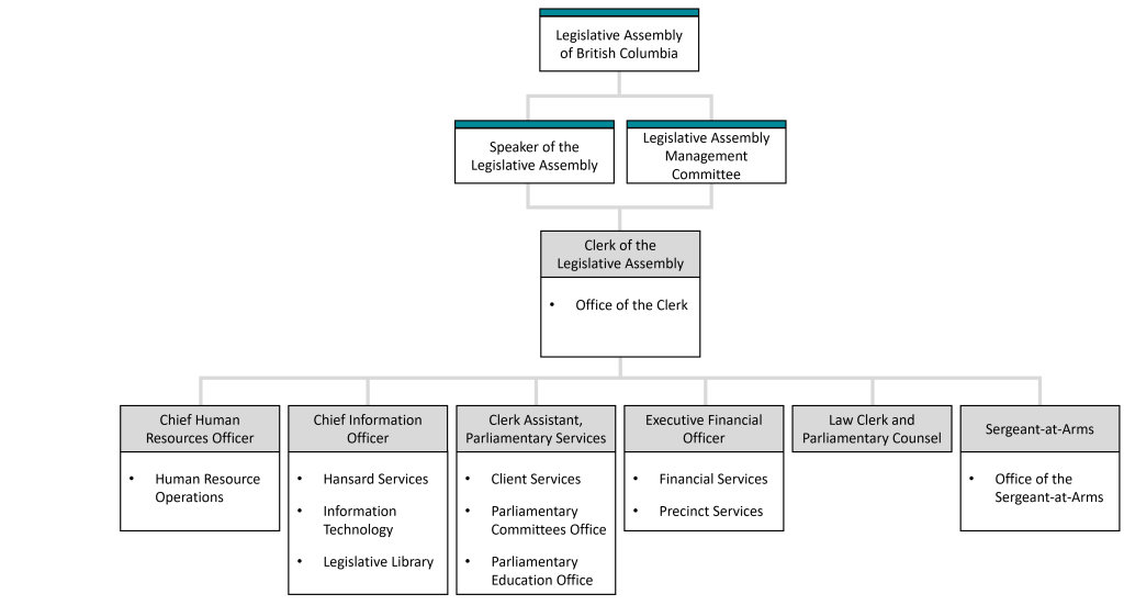 Organizational structure for Organizational Governance and Administration Team